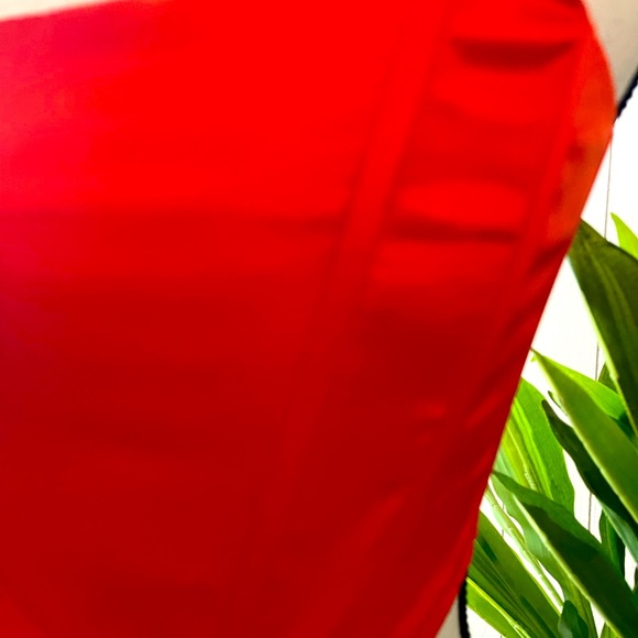 Orange Silk Corset Top - Picture 3 of 4